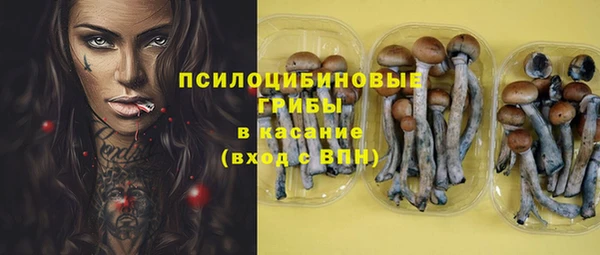 гашиш Дмитров