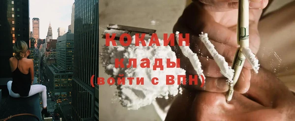 тгк Дмитровск