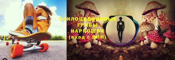 тгк Дмитровск