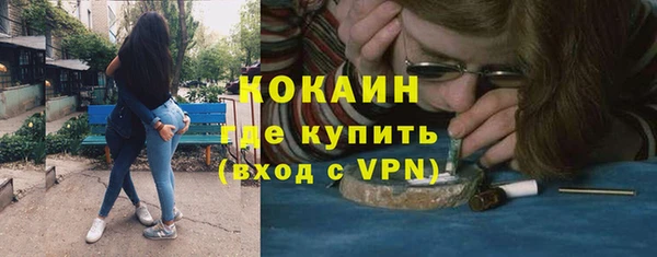 тгк Дмитровск