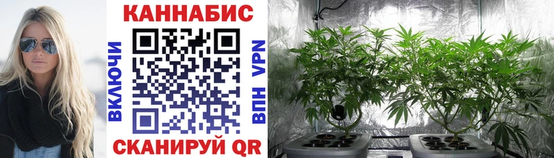МАРИХУАНА Ganja  Купить где  Нарьян-Мар 
